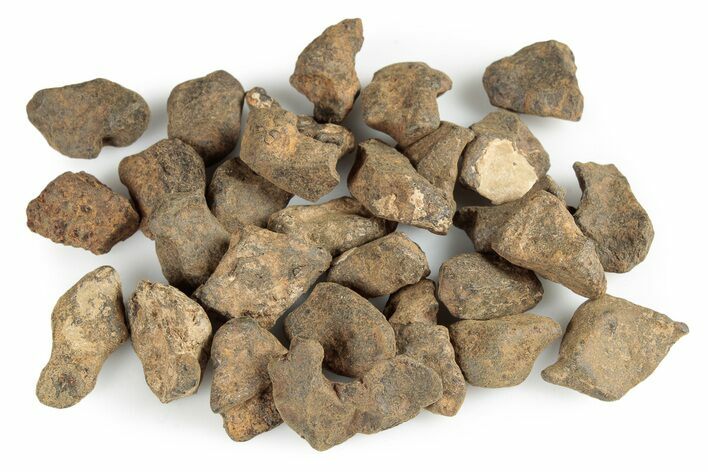 Agoudal Iron Meteorites (4-6 grams) - Morocco - Photo 1